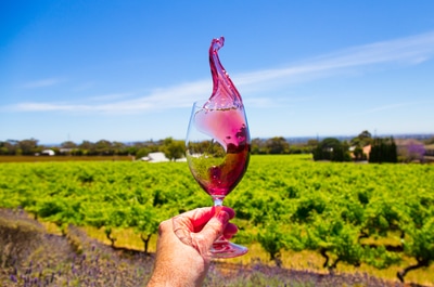 Wine swirl at Penfolds Wines in Adelaide,  South Australia