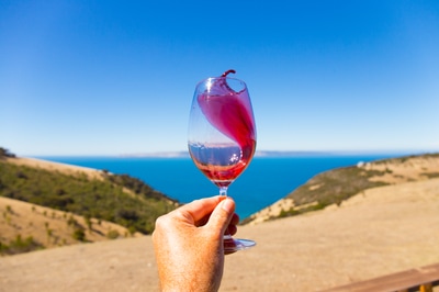 Wine swirl at Dudley Wines on Kangaroo Island, near Adelaide in South Australia