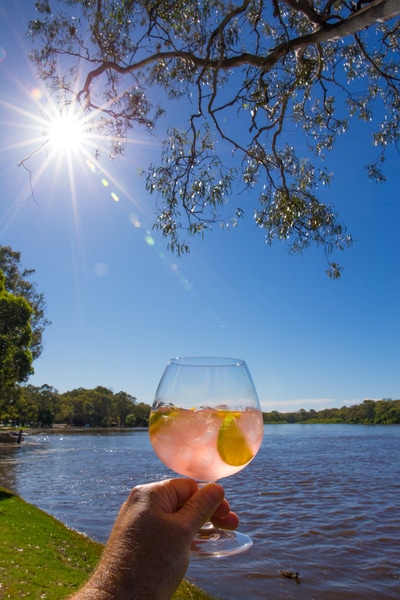 23rd Street Distillery gin with Bickfords bitters on the Murray River at Renmark, near Adelaide in South Australia